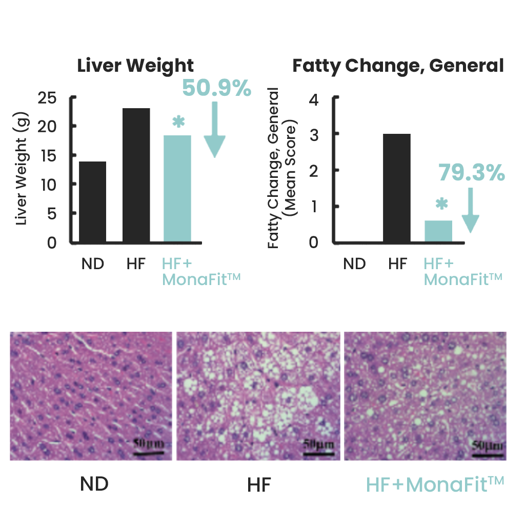 Liver Fat Research Results